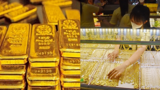 Giá vàng hôm nay 11/11: Vàng miếng SJC bứt phá, vàng nhẫn biến động khó lường