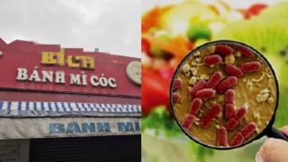 Diễn biến mới nhất vụ ngộ độc sau khi ăn bánh mì, hé lộ nguyên nhân đằng sau