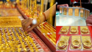 Giá vàng hôm nay 12/11 bùng nổ: Vàng miếng SJC, vàng nhẫn tăng mạnh, thị trường vàng ‘nóng’ trở lại