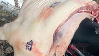 Danh tính 3 cán bộ bị khởi tố, bắt tạm giam vì đóng dấu kiểm dịch thịt heo nhiễm dịch tả châu Phi 