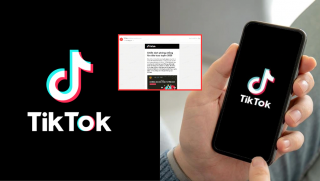 Tiktok phát cảnh báo lừa đảo trực tiếp trong ứng dụng, người dùng cần lưu ý những điều sau!