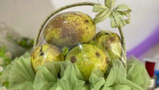 Bất ngờ với món quà tặng cô giáo ngày 20/11, chủ nhân tiết lộ lý do khiến ai cũng ngỡ ngàng