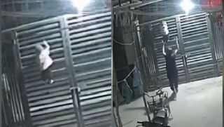 Gia đình kể lại giây phút bé trai 2 tuổi trèo cổng cao 2m với tốc độ choáng váng