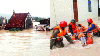 Cập nhật tình hình mưa lũ ở Gia Lai? UBND tỉnh Gia Lai xin hỗ trợ khẩn 2.000 tấn gạo cho người dân