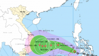 Diễn biến mới cơn bão số 15: Có nguy cơ gây thiên tai cấp 2, biển động mạnh, người dân cần hết sức lưu ý