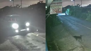 Công an thông tin nóng vụ nhóm người lái ô tô 7 chỗ đi trộm chó, đã bắt giữ nghi phạm đầu tiên