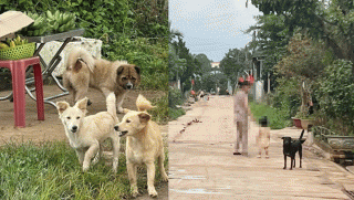 Vụ bé trai 6 tuổi ở Gia Lai tử vong khi giấu việc bị chó cắn: Gia đình sốc nặng khi mất con mãi mãi