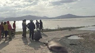 Tai nạn thương tâm tại Đắk Lắk: Mẹ và con gái 6 tuổi tử nạn khi đi hái cà phê, hé lộ hiện trường