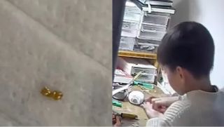 Cậu bé 8 tuổi mang vàng lên chia cho bạn học làm 'quà kỷ niệm', biết nguồn gốc số vàng bố mẹ sững sờ