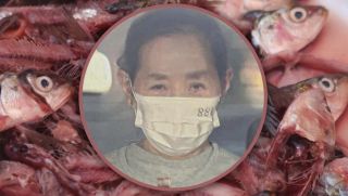 Vạch trần thủ đoạn trộm phế phẩm xương cá, mang nấu cho khách gây rúng động ở Nhật Bản