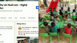 Trung tâm Tình nguyện quốc gia khẳng định không tham gia dự án 'Nuôi em - Nghệ An', có dấu hiệu mạo danh