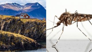 Quốc gia đặc biệt nhất thế giới từng chỉ có duy nhất 1 con muỗi