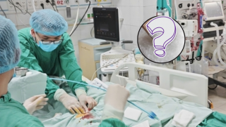 Nữ giáo viên Hà Nội 'thập tử nhất sinh' chỉ sau một bát bún ngan, nguyên nhân từ loại gia vị quen thuộc