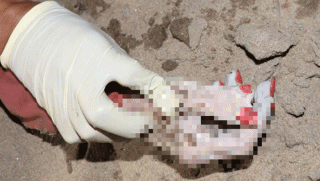 Công an tìm người thân thi thể một phụ nữ trôi trên sông Sài Gòn: Có 6 ngón tay, sơn móng chân đỏ