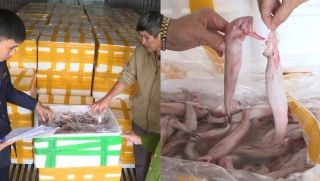 Phát hiện 7 tấn cá khoai xử lý bằng hóa chất cấm đang được tuồn ra thị trường: Lời khai phẫn nộ của tài xế