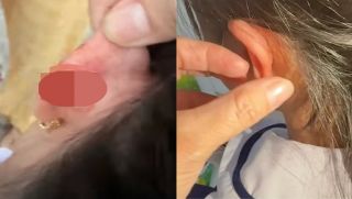 Giáo viên lớp 1 véo chảy máu tai học sinh, phụ huynh phẫn nộ tố cáo, sự thật hé lộ từ camera lớp học