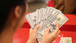 Tỷ giá USD hôm nay 24/12: Thị trường tự do giảm 50 đồng/USD
