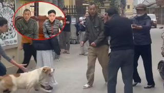 Diễn biến mới vụ thả chó cắn người ở Hà Nội, hai bố con đối diện loạt trách nhiệm hình sự nghiêm khắc
