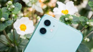 iPhone 11 giá bao nhiêu? Có đáng để mua vào tháng 1 năm 2026?