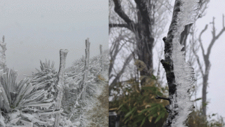 Thời tiết miền Bắc nhiều nơi rét đậm: Có nơi xuống 0,7 độ C, băng giá xuất hiện ở Cao Bằng