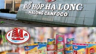 Công ty đồ hộp Hạ Long lên tiếng vụ thịt heo bệnh: Khẳng định 9 người bị bắt không thuộc công ty