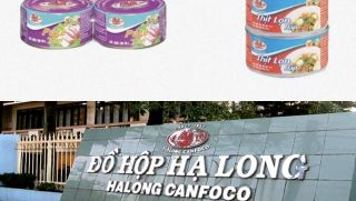 Hàng loạt siêu thị lớn thu hồi đồ hộp Hạ Long sau tin nguyên liệu xuất phát từ thịt lợn nhiễm bệnh