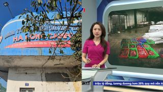 120 tấn lợn nhiễm bệnh bị phát hiện: Cán bộ CTCP đồ hộp Hạ Long tuyên bố ‘xanh rờn’, công ty giải thích