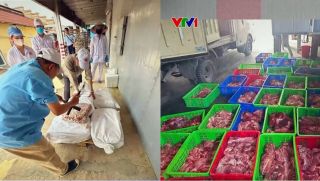 Cận cảnh kho hàng chứa 120 tấn thịt lợn nhiễm bệnh của CTCP đồ hộp Hạ Long, hé lộ cách qua mặt lực lượng chức năng