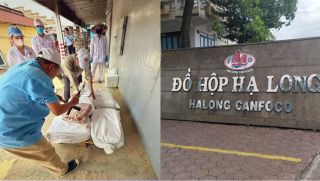 Thương hiệu Đồ hộp Hạ Long có liên quan đến tỉnh Quảng Ninh? Sự thật đằng sau tên gọi