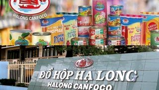 Thông tin ít ai biết về Công ty Đồ hộp Hạ Long: Một công ty nắm cổ phần qua một công ty khác