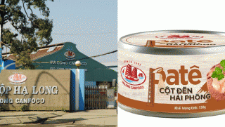 Tình hình ‘thảm hại’ của Nhà máy Đồ hộp Hạ Long sau vụ kho lạnh có 132 tấn thịt lợn bệnh