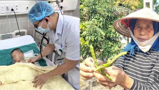 Sức khỏe bệnh nhi 19 tháng bị nặng nhất vụ ngộ độc hạt củ đậu, bác sĩ hé lộ tình hình khi nhập viện
