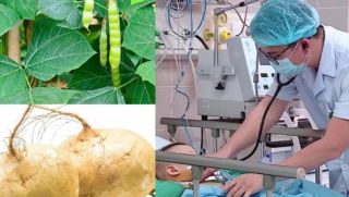 Vụ ngộ độc hạt củ đậu ở Ninh Bình: 3 ca nặng nhất đang được theo dõi ra sao?