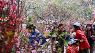 Lịch nghỉ Tết Nguyên đán 2026 liệu có thay đổi, người lao động có cơ hội nghỉ dài ngày theo phương án mới