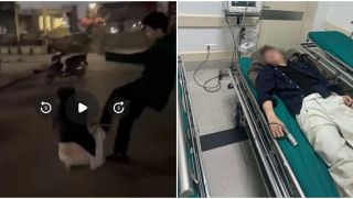 Xôn xao clip nam thanh niên bị hành hung ở công viên Võ Thị Sáu khi đang đi bộ, phải nhập viện cấp cứu