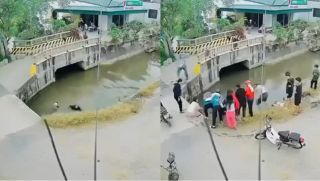 Thấy người đi xe máy lao xuống sông, bé trai có phản ứng nhanh, ai xem xong cũng phải khen ngợi