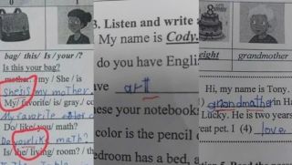Giải trình của cô giáo sửa bài học sinh từ đúng thành sai, có phải vì các em không học thêm nhà cô?