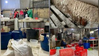 Diễn biến sốc vụ chế biến lòng lợn bẩn Bắc Ninh: Cơ sở sản xuất đồng loạt ‘biến mất’ khi kiểm tra