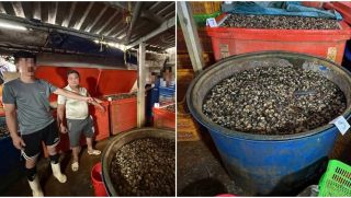 Rùng mình phát hiện cơ sở ngâm ốc bươu bằng “thủy tinh lỏng”, hàng ngàn tấn đã vào miệng người tiêu dùng