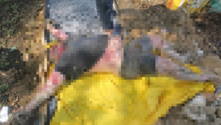 TP.HCM: Một thi thể nam giới được phát hiện ven sông Giồng Ông Tố