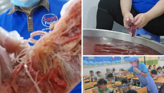 TP.HCM khẩn trương vào cuộc: Nghi vấn đưa ‘thịt hết hạn’ vào suất ăn học đường