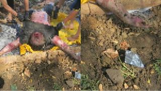 TP.HCM: Phát hiện 2 thi thể nam giới trên sông, ám ảnh tình trạng khi người dân tìm thấy