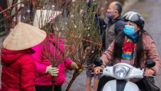 Miền bắc đang trải qua mùa đông ấm áp lạ thường, dự báo thời tiết dịp Tết Nguyên Đán 2026 ra sao?