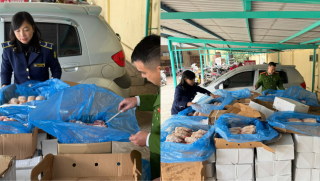 Hà Nội: Kịp thời ngăn chặn gần 2 tấn thực phẩm nhập lậu sắp tuồn ra thị trường