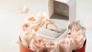 Cầu hôn tặng hoa gì? 9 loại hoa ý nghĩa và lãng mạn nhất