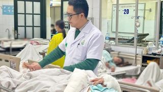 Cụ bà bị chó cắn nguy kịch, tình hình hiện tại khiến nhiều người xót xa