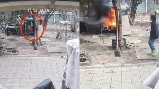 Bé trai nghịch lửa thiêu sống chó Samoyed, người chủ từ chối hòa giải riêng mà đưa yêu cầu đặc biệt