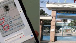 Cái kết cuối cùng vụ cô giáo tự sửa bài thi tiếng Anh của 19 học sinh, nhà trường lên tiếng vụ dạy thêm