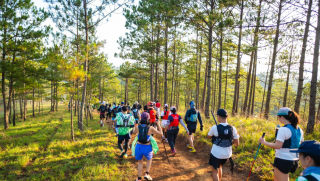 Dalat Ultra Trail x Kailas FUGA - Cú bắt tay nâng tầm trải nghiệm chạy địa hình mùa giải 2026