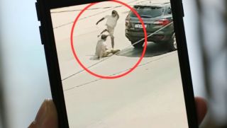 Diễn biến mới vụ tài xế đánh chết người sau va chạm xe ở Tây Ninh gây phẫn nộ dư luận